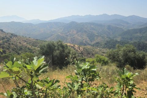 Finca i Monda, Malaga, Monda - € 125 000 | Ref: ES43752S - foto 24