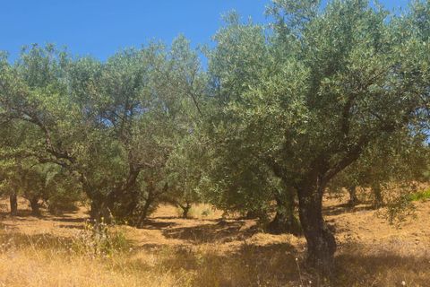 Finca i Monda, Malaga, Monda - € 125 000 | Ref: ES43752S - foto 25