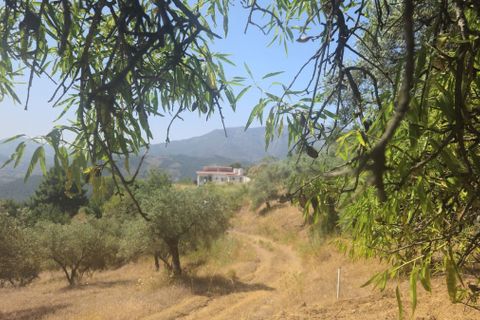 Finca i Monda, Malaga, Monda - € 125 000 | Ref: ES43752S - foto 26
