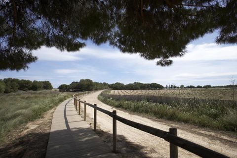 Bungalou a Torrevieja, Alicante, Torrevieja - € 293.700 | Ref: YHS80377R - foto 6