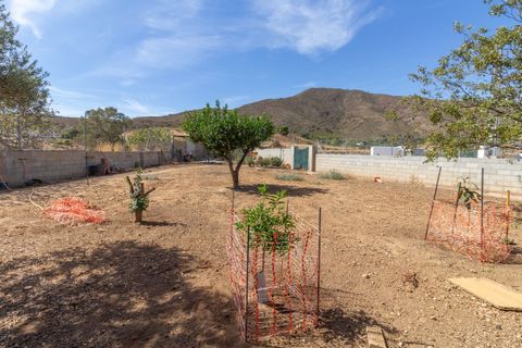 Finca i Entrerrios, Malaga, Entrerrios - € 890.000 | Ref: MLS12210R - foto 36