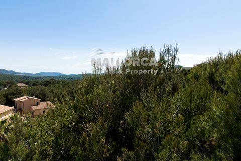 Terra a Cala Mesquida, Mallorca, Cala Mesquida - € 373.000 | Ref: 30538 - foto 10