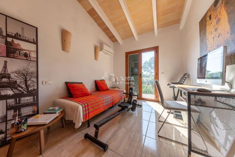 Finca i Sa Pobla, Mallorca, Sa Pobla - € 949.000 | Ref: 34521 - foto 4