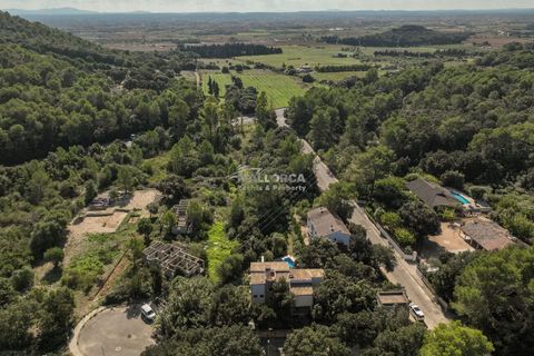 Finca i Sa Pobla, Mallorca, Sa Pobla - € 949.000 | Ref: 34521 - foto 6