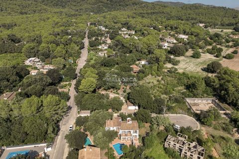 Finca i Sa Pobla, Mallorca, Sa Pobla - € 949.000 | Ref: 34521 - foto 7