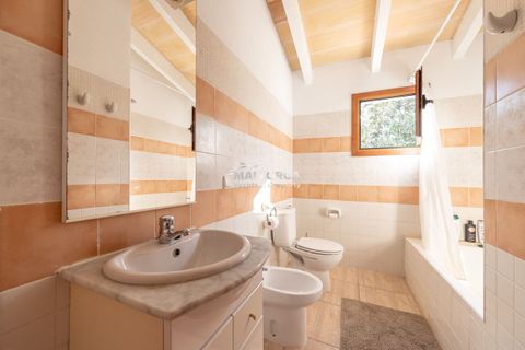 Finca i Sa Pobla, Mallorca, Sa Pobla - € 949.000 | Ref: 34521 - foto 18