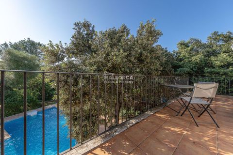 Finca i Sa Pobla, Mallorca, Sa Pobla - € 949.000 | Ref: 34521 - foto 21