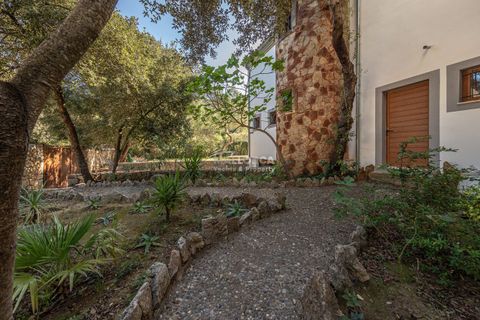 Finca i Sa Pobla, Mallorca, Sa Pobla - € 949.000 | Ref: 34521 - foto 45