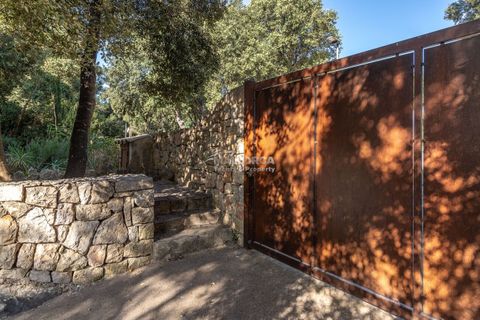 Finca i Sa Pobla, Mallorca, Sa Pobla - € 949.000 | Ref: 34521 - foto 47