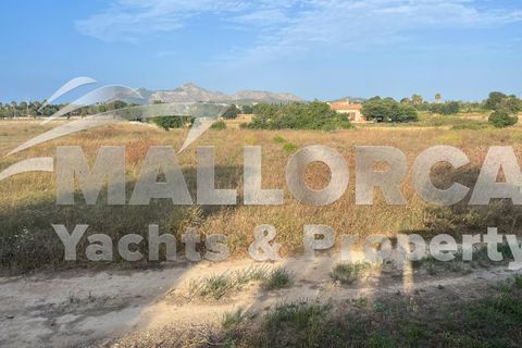 Terra a Alcudia, Mallorca, Alcudia - € 1.000.000 | Ref: 37111 - foto 6