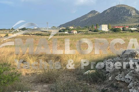 Terra a Alcudia, Mallorca, Alcudia - € 1.000.000 | Ref: 37111 - foto 7