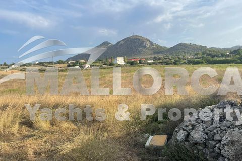 Terra a Alcudia, Mallorca, Alcudia - € 1.000.000 | Ref: 37111 - foto 8