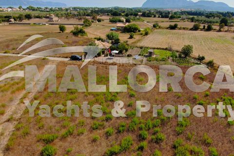 Terra a Alcudia, Mallorca, Alcudia - € 1.000.000 | Ref: 37111 - foto 9