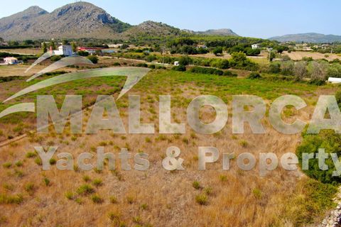 Terra a Alcudia, Mallorca, Alcudia - € 1.000.000 | Ref: 37111 - foto 10