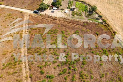Terra a Alcudia, Mallorca, Alcudia - € 1.000.000 | Ref: 37111 - foto 12