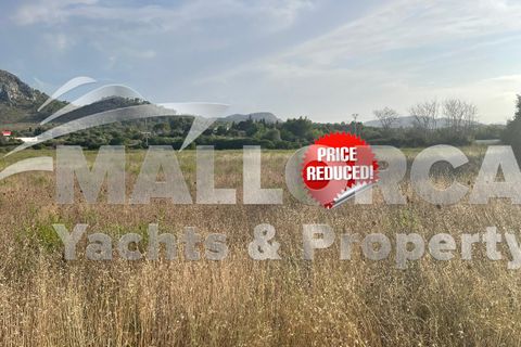 Terra a Alcudia, Mallorca, Alcudia - € 1.000.000 | Ref: 37111 - foto 13