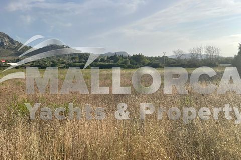 Terra a Alcudia, Mallorca, Alcudia - € 1.000.000 | Ref: 37111 - foto 14