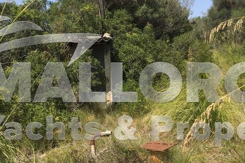 Tomt i Capdepera, Mallorca, Capdepera - € 380 000 | Ref: 31497 - foto 2