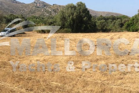 Tomt i Capdepera, Mallorca, Capdepera - € 380 000 | Ref: 31497 - foto 4