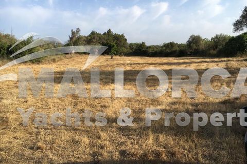 Tomt i Capdepera, Mallorca, Capdepera - € 380 000 | Ref: 31497 - foto 5