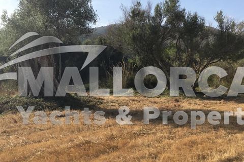 Tomt i Capdepera, Mallorca, Capdepera - € 380 000 | Ref: 31497 - foto 6