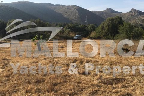 Tomt i Capdepera, Mallorca, Capdepera - € 380 000 | Ref: 31497 - foto 7