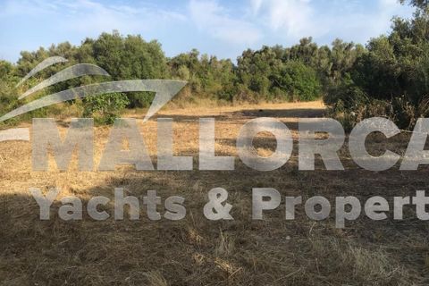 Tomt i Capdepera, Mallorca, Capdepera - € 380 000 | Ref: 31497 - foto 8