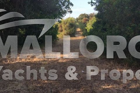 Tomt i Capdepera, Mallorca, Capdepera - € 380 000 | Ref: 31497 - foto 9