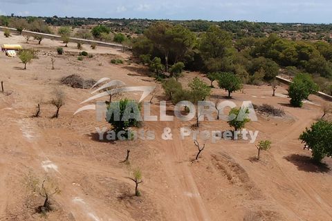 Helårsgrund i Manacor, Mallorca, Manacor - € 1.200.000 | Ref: 36326 - foto 32
