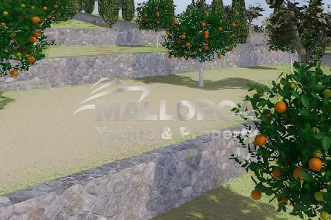 Helårsgrund i Manacor, Mallorca, Manacor - € 1.200.000 | Ref: 36326 - foto 33