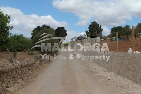 Helårsgrund i Manacor, Mallorca, Manacor - € 1.200.000 | Ref: 36326 - foto 34