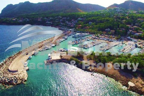 Terra a Alcudia, Mallorca, Alcudia - € 275.000 | Ref: 34736-dup - foto 2