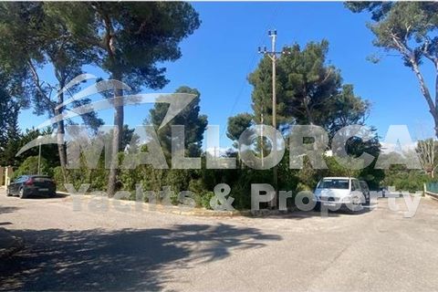 Terra a Alcudia, Mallorca, Alcudia - € 275.000 | Ref: 34736-dup - foto 5