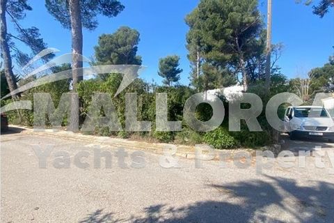 Terra a Alcudia, Mallorca, Alcudia - € 275.000 | Ref: 34736-dup - foto 6