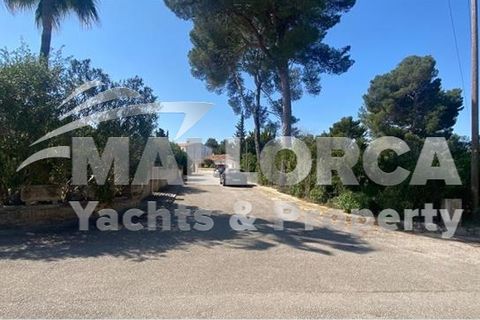 Terra a Alcudia, Mallorca, Alcudia - € 275.000 | Ref: 34736-dup - foto 7