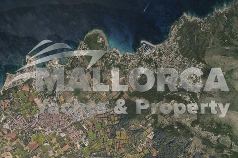Terra a Alcudia, Mallorca, Alcudia - € 275.000 | Ref: 34736-dup - foto 8