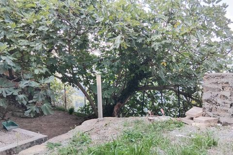 Lejlighed i Perinaldo, Imperia, Perinaldo - € 85.000 | Ref: 1118 - foto 30