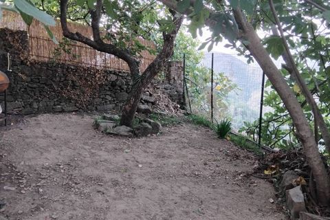 Lejlighed i Perinaldo, Imperia, Perinaldo - € 85.000 | Ref: 1118 - foto 35