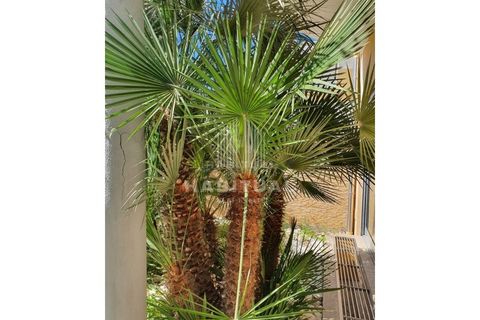 Byhus i Darque, Viana do Castelo, Darque - € 477.700 | Ref: EM185 - foto 14