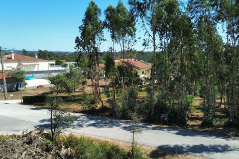 Helårsgrund i Pombal, Leiria, Pombal - € 31.000 | Ref: C0381-00804 - foto 1