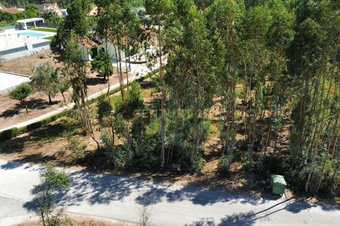 Helårsgrund i Pombal, Leiria, Pombal - € 31.000 | Ref: C0381-00804 - foto 2