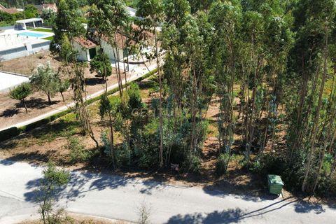 Helårsgrund i Pombal, Leiria, Pombal - € 31.000 | Ref: C0381-00804 - foto 3