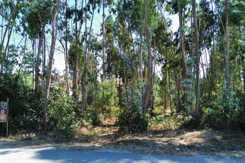 Helårsgrund i Pombal, Leiria, Pombal - € 31.000 | Ref: C0381-00804 - foto 4