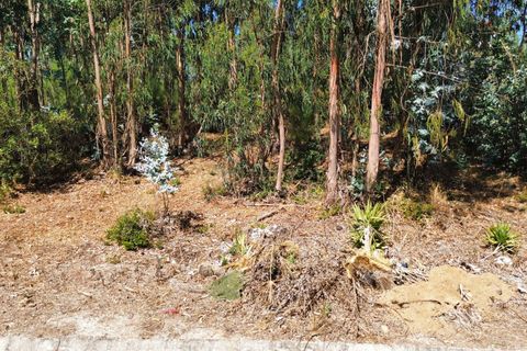 Helårsgrund i Pombal, Leiria, Pombal - € 31.000 | Ref: C0381-00804 - foto 5