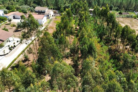 Helårsgrund i Pombal, Leiria, Pombal - € 31.000 | Ref: C0381-00804 - foto 6