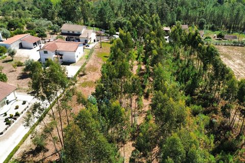 Helårsgrund i Pombal, Leiria, Pombal - € 31.000 | Ref: C0381-00804 - foto 7