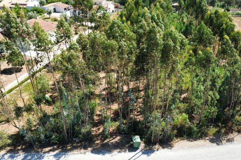 Helårsgrund i Pombal, Leiria, Pombal - € 31.000 | Ref: C0381-00804 - foto 8
