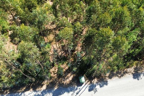 Helårsgrund i Pombal, Leiria, Pombal - € 31.000 | Ref: C0381-00804 - foto 9