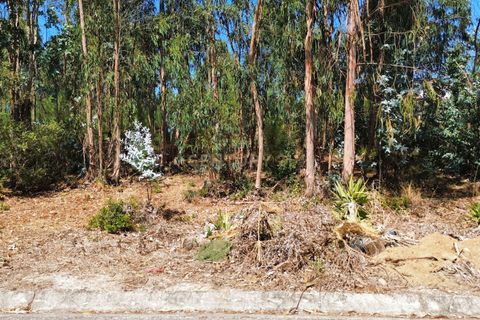 Helårsgrund i Pombal, Leiria, Pombal - € 31.000 | Ref: C0381-00804 - foto 10