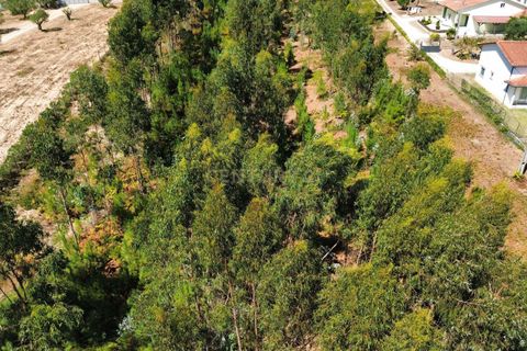 Helårsgrund i Pombal, Leiria, Pombal - € 31.000 | Ref: C0381-00804 - foto 13